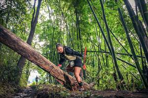 BIB: 
                            <button type="button" onclick="openModal(15934883)" class="btn btn-primary btn-sm float-right btn-popup" data-toggle="modal" data-target=".modal-high-quality">
                        <i class="fas fa-shopping-cart"></i> Add to Cart
                    </button>
                                            <button type="button" onclick="isThisMe(15934883, true)" class="btn btn-success btn-sm float-right btn-popup btn-isme hidden" data-toggle="tooltip" data-placement="bottom" title="นี่คือรูปของคุณใช่ไหม คลิกที่นี่เพื่อเอาเข้าอัลบั้ม">
                        <i class="fas fa-plus"></i> Add to album
                    </button>
                    <button type="button" onclick="isThisMe(15934883, false)" class="btn btn-warning btn-sm float-right btn-popup btn-isnotme hidden">
                        <i class="fas fa-ban"></i> Remove from album
                    </button>