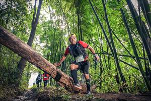 BIB: 1720, 1384
                            <button type="button" onclick="openModal(15934917)" class="btn btn-primary btn-sm float-right btn-popup" data-toggle="modal" data-target=".modal-high-quality">
                        <i class="fas fa-shopping-cart"></i> Add to Cart
                    </button>
                                            <button type="button" onclick="isThisMe(15934917, true)" class="btn btn-success btn-sm float-right btn-popup btn-isme hidden" data-toggle="tooltip" data-placement="bottom" title="นี่คือรูปของคุณใช่ไหม คลิกที่นี่เพื่อเอาเข้าอัลบั้ม">
                        <i class="fas fa-plus"></i> Add to album
                    </button>
                    <button type="button" onclick="isThisMe(15934917, false)" class="btn btn-warning btn-sm float-right btn-popup btn-isnotme hidden">
                        <i class="fas fa-ban"></i> Remove from album
                    </button>