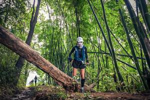 BIB: 
                            <button type="button" onclick="openModal(15933547)" class="btn btn-primary btn-sm float-right btn-popup" data-toggle="modal" data-target=".modal-high-quality">
                        <i class="fas fa-shopping-cart"></i> Add to Cart
                    </button>
                                            <button type="button" onclick="isThisMe(15933547, true)" class="btn btn-success btn-sm float-right btn-popup btn-isme hidden" data-toggle="tooltip" data-placement="bottom" title="นี่คือรูปของคุณใช่ไหม คลิกที่นี่เพื่อเอาเข้าอัลบั้ม">
                        <i class="fas fa-plus"></i> Add to album
                    </button>
                    <button type="button" onclick="isThisMe(15933547, false)" class="btn btn-warning btn-sm float-right btn-popup btn-isnotme hidden">
                        <i class="fas fa-ban"></i> Remove from album
                    </button>