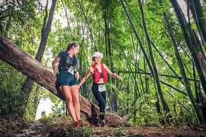 BIB: 163, 1654
                            <button type="button" onclick="openModal(15932979)" class="btn btn-primary btn-sm float-right btn-popup" data-toggle="modal" data-target=".modal-high-quality">
                        <i class="fas fa-shopping-cart"></i> Add to Cart
                    </button>
                                            <button type="button" onclick="isThisMe(15932979, true)" class="btn btn-success btn-sm float-right btn-popup btn-isme hidden" data-toggle="tooltip" data-placement="bottom" title="นี่คือรูปของคุณใช่ไหม คลิกที่นี่เพื่อเอาเข้าอัลบั้ม">
                        <i class="fas fa-plus"></i> Add to album
                    </button>
                    <button type="button" onclick="isThisMe(15932979, false)" class="btn btn-warning btn-sm float-right btn-popup btn-isnotme hidden">
                        <i class="fas fa-ban"></i> Remove from album
                    </button>