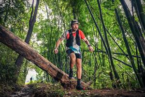 BIB: 
                            <button type="button" onclick="openModal(15933440)" class="btn btn-primary btn-sm float-right btn-popup" data-toggle="modal" data-target=".modal-high-quality">
                        <i class="fas fa-shopping-cart"></i> Add to Cart
                    </button>
                                            <button type="button" onclick="isThisMe(15933440, true)" class="btn btn-success btn-sm float-right btn-popup btn-isme hidden" data-toggle="tooltip" data-placement="bottom" title="นี่คือรูปของคุณใช่ไหม คลิกที่นี่เพื่อเอาเข้าอัลบั้ม">
                        <i class="fas fa-plus"></i> Add to album
                    </button>
                    <button type="button" onclick="isThisMe(15933440, false)" class="btn btn-warning btn-sm float-right btn-popup btn-isnotme hidden">
                        <i class="fas fa-ban"></i> Remove from album
                    </button>