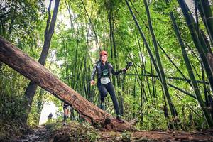 BIB: 1381, 151
                            <button type="button" onclick="openModal(15934573)" class="btn btn-primary btn-sm float-right btn-popup" data-toggle="modal" data-target=".modal-high-quality">
                        <i class="fas fa-shopping-cart"></i> Add to Cart
                    </button>
                                            <button type="button" onclick="isThisMe(15934573, true)" class="btn btn-success btn-sm float-right btn-popup btn-isme hidden" data-toggle="tooltip" data-placement="bottom" title="นี่คือรูปของคุณใช่ไหม คลิกที่นี่เพื่อเอาเข้าอัลบั้ม">
                        <i class="fas fa-plus"></i> Add to album
                    </button>
                    <button type="button" onclick="isThisMe(15934573, false)" class="btn btn-warning btn-sm float-right btn-popup btn-isnotme hidden">
                        <i class="fas fa-ban"></i> Remove from album
                    </button>