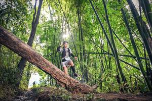 BIB: 1595
                            <button type="button" onclick="openModal(15934795)" class="btn btn-primary btn-sm float-right btn-popup" data-toggle="modal" data-target=".modal-high-quality">
                        <i class="fas fa-shopping-cart"></i> Add to Cart
                    </button>
                                            <button type="button" onclick="isThisMe(15934795, true)" class="btn btn-success btn-sm float-right btn-popup btn-isme hidden" data-toggle="tooltip" data-placement="bottom" title="นี่คือรูปของคุณใช่ไหม คลิกที่นี่เพื่อเอาเข้าอัลบั้ม">
                        <i class="fas fa-plus"></i> Add to album
                    </button>
                    <button type="button" onclick="isThisMe(15934795, false)" class="btn btn-warning btn-sm float-right btn-popup btn-isnotme hidden">
                        <i class="fas fa-ban"></i> Remove from album
                    </button>