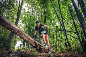 BIB: 354
                            <button type="button" onclick="openModal(15933484)" class="btn btn-primary btn-sm float-right btn-popup" data-toggle="modal" data-target=".modal-high-quality">
                        <i class="fas fa-shopping-cart"></i> Add to Cart
                    </button>
                                            <button type="button" onclick="isThisMe(15933484, true)" class="btn btn-success btn-sm float-right btn-popup btn-isme hidden" data-toggle="tooltip" data-placement="bottom" title="นี่คือรูปของคุณใช่ไหม คลิกที่นี่เพื่อเอาเข้าอัลบั้ม">
                        <i class="fas fa-plus"></i> Add to album
                    </button>
                    <button type="button" onclick="isThisMe(15933484, false)" class="btn btn-warning btn-sm float-right btn-popup btn-isnotme hidden">
                        <i class="fas fa-ban"></i> Remove from album
                    </button>