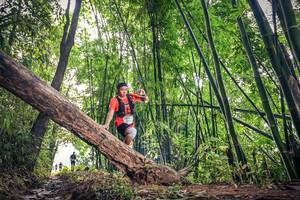 BIB: 1633, 
                            <button type="button" onclick="openModal(15932789)" class="btn btn-primary btn-sm float-right btn-popup" data-toggle="modal" data-target=".modal-high-quality">
                        <i class="fas fa-shopping-cart"></i> Add to Cart
                    </button>
                                            <button type="button" onclick="isThisMe(15932789, true)" class="btn btn-success btn-sm float-right btn-popup btn-isme hidden" data-toggle="tooltip" data-placement="bottom" title="นี่คือรูปของคุณใช่ไหม คลิกที่นี่เพื่อเอาเข้าอัลบั้ม">
                        <i class="fas fa-plus"></i> Add to album
                    </button>
                    <button type="button" onclick="isThisMe(15932789, false)" class="btn btn-warning btn-sm float-right btn-popup btn-isnotme hidden">
                        <i class="fas fa-ban"></i> Remove from album
                    </button>