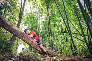 BIB: 
                            <button type="button" onclick="openModal(15935019)" class="btn btn-primary btn-sm float-right btn-popup" data-toggle="modal" data-target=".modal-high-quality">
                        <i class="fas fa-shopping-cart"></i> Add to Cart
                    </button>
                                            <button type="button" onclick="isThisMe(15935019, true)" class="btn btn-success btn-sm float-right btn-popup btn-isme hidden" data-toggle="tooltip" data-placement="bottom" title="นี่คือรูปของคุณใช่ไหม คลิกที่นี่เพื่อเอาเข้าอัลบั้ม">
                        <i class="fas fa-plus"></i> Add to album
                    </button>
                    <button type="button" onclick="isThisMe(15935019, false)" class="btn btn-warning btn-sm float-right btn-popup btn-isnotme hidden">
                        <i class="fas fa-ban"></i> Remove from album
                    </button>