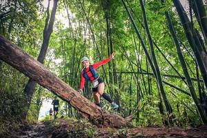 BIB: 1236
                            <button type="button" onclick="openModal(15934524)" class="btn btn-primary btn-sm float-right btn-popup" data-toggle="modal" data-target=".modal-high-quality">
                        <i class="fas fa-shopping-cart"></i> Add to Cart
                    </button>
                                            <button type="button" onclick="isThisMe(15934524, true)" class="btn btn-success btn-sm float-right btn-popup btn-isme hidden" data-toggle="tooltip" data-placement="bottom" title="นี่คือรูปของคุณใช่ไหม คลิกที่นี่เพื่อเอาเข้าอัลบั้ม">
                        <i class="fas fa-plus"></i> Add to album
                    </button>
                    <button type="button" onclick="isThisMe(15934524, false)" class="btn btn-warning btn-sm float-right btn-popup btn-isnotme hidden">
                        <i class="fas fa-ban"></i> Remove from album
                    </button>