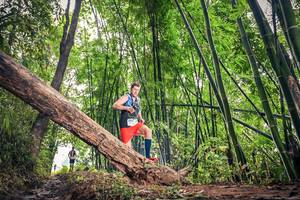 BIB: 1714
                            <button type="button" onclick="openModal(15932526)" class="btn btn-primary btn-sm float-right btn-popup" data-toggle="modal" data-target=".modal-high-quality">
                        <i class="fas fa-shopping-cart"></i> Add to Cart
                    </button>
                                            <button type="button" onclick="isThisMe(15932526, true)" class="btn btn-success btn-sm float-right btn-popup btn-isme hidden" data-toggle="tooltip" data-placement="bottom" title="นี่คือรูปของคุณใช่ไหม คลิกที่นี่เพื่อเอาเข้าอัลบั้ม">
                        <i class="fas fa-plus"></i> Add to album
                    </button>
                    <button type="button" onclick="isThisMe(15932526, false)" class="btn btn-warning btn-sm float-right btn-popup btn-isnotme hidden">
                        <i class="fas fa-ban"></i> Remove from album
                    </button>