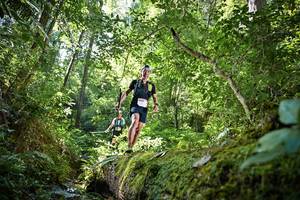 BIB: 5053
                            <button type="button" onclick="openModal(15938896)" class="btn btn-primary btn-sm float-right btn-popup" data-toggle="modal" data-target=".modal-high-quality">
                        <i class="fas fa-shopping-cart"></i> Add to Cart
                    </button>
                                            <button type="button" onclick="isThisMe(15938896, true)" class="btn btn-success btn-sm float-right btn-popup btn-isme hidden" data-toggle="tooltip" data-placement="bottom" title="นี่คือรูปของคุณใช่ไหม คลิกที่นี่เพื่อเอาเข้าอัลบั้ม">
                        <i class="fas fa-plus"></i> Add to album
                    </button>
                    <button type="button" onclick="isThisMe(15938896, false)" class="btn btn-warning btn-sm float-right btn-popup btn-isnotme hidden">
                        <i class="fas fa-ban"></i> Remove from album
                    </button>