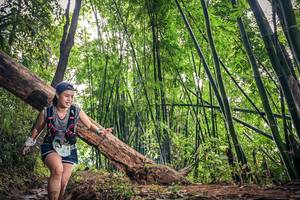 BIB: 543
                            <button type="button" onclick="openModal(15933624)" class="btn btn-primary btn-sm float-right btn-popup" data-toggle="modal" data-target=".modal-high-quality">
                        <i class="fas fa-shopping-cart"></i> Add to Cart
                    </button>
                                            <button type="button" onclick="isThisMe(15933624, true)" class="btn btn-success btn-sm float-right btn-popup btn-isme hidden" data-toggle="tooltip" data-placement="bottom" title="นี่คือรูปของคุณใช่ไหม คลิกที่นี่เพื่อเอาเข้าอัลบั้ม">
                        <i class="fas fa-plus"></i> Add to album
                    </button>
                    <button type="button" onclick="isThisMe(15933624, false)" class="btn btn-warning btn-sm float-right btn-popup btn-isnotme hidden">
                        <i class="fas fa-ban"></i> Remove from album
                    </button>