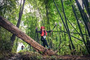 BIB: 1459
                            <button type="button" onclick="openModal(15934471)" class="btn btn-primary btn-sm float-right btn-popup" data-toggle="modal" data-target=".modal-high-quality">
                        <i class="fas fa-shopping-cart"></i> Add to Cart
                    </button>
                                            <button type="button" onclick="isThisMe(15934471, true)" class="btn btn-success btn-sm float-right btn-popup btn-isme hidden" data-toggle="tooltip" data-placement="bottom" title="นี่คือรูปของคุณใช่ไหม คลิกที่นี่เพื่อเอาเข้าอัลบั้ม">
                        <i class="fas fa-plus"></i> Add to album
                    </button>
                    <button type="button" onclick="isThisMe(15934471, false)" class="btn btn-warning btn-sm float-right btn-popup btn-isnotme hidden">
                        <i class="fas fa-ban"></i> Remove from album
                    </button>