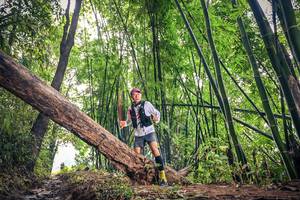 BIB: 
                            <button type="button" onclick="openModal(15933153)" class="btn btn-primary btn-sm float-right btn-popup" data-toggle="modal" data-target=".modal-high-quality">
                        <i class="fas fa-shopping-cart"></i> Add to Cart
                    </button>
                                            <button type="button" onclick="isThisMe(15933153, true)" class="btn btn-success btn-sm float-right btn-popup btn-isme hidden" data-toggle="tooltip" data-placement="bottom" title="นี่คือรูปของคุณใช่ไหม คลิกที่นี่เพื่อเอาเข้าอัลบั้ม">
                        <i class="fas fa-plus"></i> Add to album
                    </button>
                    <button type="button" onclick="isThisMe(15933153, false)" class="btn btn-warning btn-sm float-right btn-popup btn-isnotme hidden">
                        <i class="fas fa-ban"></i> Remove from album
                    </button>