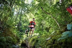 BIB: 5206, 053
                            <button type="button" onclick="openModal(15938876)" class="btn btn-primary btn-sm float-right btn-popup" data-toggle="modal" data-target=".modal-high-quality">
                        <i class="fas fa-shopping-cart"></i> Add to Cart
                    </button>
                                            <button type="button" onclick="isThisMe(15938876, true)" class="btn btn-success btn-sm float-right btn-popup btn-isme hidden" data-toggle="tooltip" data-placement="bottom" title="นี่คือรูปของคุณใช่ไหม คลิกที่นี่เพื่อเอาเข้าอัลบั้ม">
                        <i class="fas fa-plus"></i> Add to album
                    </button>
                    <button type="button" onclick="isThisMe(15938876, false)" class="btn btn-warning btn-sm float-right btn-popup btn-isnotme hidden">
                        <i class="fas fa-ban"></i> Remove from album
                    </button>