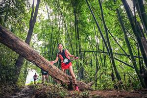 BIB: 
                            <button type="button" onclick="openModal(15933638)" class="btn btn-primary btn-sm float-right btn-popup" data-toggle="modal" data-target=".modal-high-quality">
                        <i class="fas fa-shopping-cart"></i> Add to Cart
                    </button>
                                            <button type="button" onclick="isThisMe(15933638, true)" class="btn btn-success btn-sm float-right btn-popup btn-isme hidden" data-toggle="tooltip" data-placement="bottom" title="นี่คือรูปของคุณใช่ไหม คลิกที่นี่เพื่อเอาเข้าอัลบั้ม">
                        <i class="fas fa-plus"></i> Add to album
                    </button>
                    <button type="button" onclick="isThisMe(15933638, false)" class="btn btn-warning btn-sm float-right btn-popup btn-isnotme hidden">
                        <i class="fas fa-ban"></i> Remove from album
                    </button>