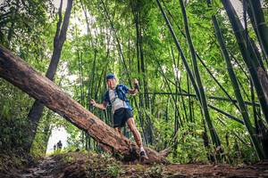 BIB: 478
                            <button type="button" onclick="openModal(15933634)" class="btn btn-primary btn-sm float-right btn-popup" data-toggle="modal" data-target=".modal-high-quality">
                        <i class="fas fa-shopping-cart"></i> Add to Cart
                    </button>
                                            <button type="button" onclick="isThisMe(15933634, true)" class="btn btn-success btn-sm float-right btn-popup btn-isme hidden" data-toggle="tooltip" data-placement="bottom" title="นี่คือรูปของคุณใช่ไหม คลิกที่นี่เพื่อเอาเข้าอัลบั้ม">
                        <i class="fas fa-plus"></i> Add to album
                    </button>
                    <button type="button" onclick="isThisMe(15933634, false)" class="btn btn-warning btn-sm float-right btn-popup btn-isnotme hidden">
                        <i class="fas fa-ban"></i> Remove from album
                    </button>