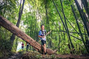 BIB: 
                            <button type="button" onclick="openModal(15934848)" class="btn btn-primary btn-sm float-right btn-popup" data-toggle="modal" data-target=".modal-high-quality">
                        <i class="fas fa-shopping-cart"></i> Add to Cart
                    </button>
                                            <button type="button" onclick="isThisMe(15934848, true)" class="btn btn-success btn-sm float-right btn-popup btn-isme hidden" data-toggle="tooltip" data-placement="bottom" title="นี่คือรูปของคุณใช่ไหม คลิกที่นี่เพื่อเอาเข้าอัลบั้ม">
                        <i class="fas fa-plus"></i> Add to album
                    </button>
                    <button type="button" onclick="isThisMe(15934848, false)" class="btn btn-warning btn-sm float-right btn-popup btn-isnotme hidden">
                        <i class="fas fa-ban"></i> Remove from album
                    </button>