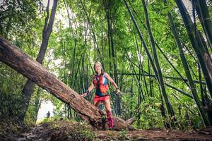 BIB: 
                            <button type="button" onclick="openModal(15933140)" class="btn btn-primary btn-sm float-right btn-popup" data-toggle="modal" data-target=".modal-high-quality">
                        <i class="fas fa-shopping-cart"></i> Add to Cart
                    </button>
                                            <button type="button" onclick="isThisMe(15933140, true)" class="btn btn-success btn-sm float-right btn-popup btn-isme hidden" data-toggle="tooltip" data-placement="bottom" title="นี่คือรูปของคุณใช่ไหม คลิกที่นี่เพื่อเอาเข้าอัลบั้ม">
                        <i class="fas fa-plus"></i> Add to album
                    </button>
                    <button type="button" onclick="isThisMe(15933140, false)" class="btn btn-warning btn-sm float-right btn-popup btn-isnotme hidden">
                        <i class="fas fa-ban"></i> Remove from album
                    </button>