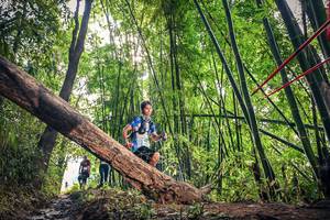 BIB: 1550
                            <button type="button" onclick="openModal(15934933)" class="btn btn-primary btn-sm float-right btn-popup" data-toggle="modal" data-target=".modal-high-quality">
                        <i class="fas fa-shopping-cart"></i> Add to Cart
                    </button>
                                            <button type="button" onclick="isThisMe(15934933, true)" class="btn btn-success btn-sm float-right btn-popup btn-isme hidden" data-toggle="tooltip" data-placement="bottom" title="นี่คือรูปของคุณใช่ไหม คลิกที่นี่เพื่อเอาเข้าอัลบั้ม">
                        <i class="fas fa-plus"></i> Add to album
                    </button>
                    <button type="button" onclick="isThisMe(15934933, false)" class="btn btn-warning btn-sm float-right btn-popup btn-isnotme hidden">
                        <i class="fas fa-ban"></i> Remove from album
                    </button>