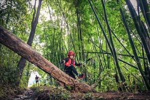 BIB: 
                            <button type="button" onclick="openModal(15934470)" class="btn btn-primary btn-sm float-right btn-popup" data-toggle="modal" data-target=".modal-high-quality">
                        <i class="fas fa-shopping-cart"></i> Add to Cart
                    </button>
                                            <button type="button" onclick="isThisMe(15934470, true)" class="btn btn-success btn-sm float-right btn-popup btn-isme hidden" data-toggle="tooltip" data-placement="bottom" title="นี่คือรูปของคุณใช่ไหม คลิกที่นี่เพื่อเอาเข้าอัลบั้ม">
                        <i class="fas fa-plus"></i> Add to album
                    </button>
                    <button type="button" onclick="isThisMe(15934470, false)" class="btn btn-warning btn-sm float-right btn-popup btn-isnotme hidden">
                        <i class="fas fa-ban"></i> Remove from album
                    </button>