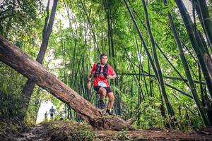 BIB: 1219
                            <button type="button" onclick="openModal(15932994)" class="btn btn-primary btn-sm float-right btn-popup" data-toggle="modal" data-target=".modal-high-quality">
                        <i class="fas fa-shopping-cart"></i> Add to Cart
                    </button>
                                            <button type="button" onclick="isThisMe(15932994, true)" class="btn btn-success btn-sm float-right btn-popup btn-isme hidden" data-toggle="tooltip" data-placement="bottom" title="นี่คือรูปของคุณใช่ไหม คลิกที่นี่เพื่อเอาเข้าอัลบั้ม">
                        <i class="fas fa-plus"></i> Add to album
                    </button>
                    <button type="button" onclick="isThisMe(15932994, false)" class="btn btn-warning btn-sm float-right btn-popup btn-isnotme hidden">
                        <i class="fas fa-ban"></i> Remove from album
                    </button>