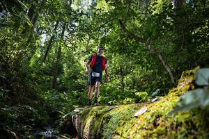 BIB: 5033
                            <button type="button" onclick="openModal(15939813)" class="btn btn-primary btn-sm float-right btn-popup" data-toggle="modal" data-target=".modal-high-quality">
                        <i class="fas fa-shopping-cart"></i> Add to Cart
                    </button>
                                            <button type="button" onclick="isThisMe(15939813, true)" class="btn btn-success btn-sm float-right btn-popup btn-isme hidden" data-toggle="tooltip" data-placement="bottom" title="นี่คือรูปของคุณใช่ไหม คลิกที่นี่เพื่อเอาเข้าอัลบั้ม">
                        <i class="fas fa-plus"></i> Add to album
                    </button>
                    <button type="button" onclick="isThisMe(15939813, false)" class="btn btn-warning btn-sm float-right btn-popup btn-isnotme hidden">
                        <i class="fas fa-ban"></i> Remove from album
                    </button>