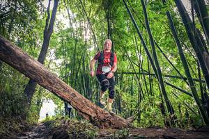 BIB: 1310, 1749
                            <button type="button" onclick="openModal(15934947)" class="btn btn-primary btn-sm float-right btn-popup" data-toggle="modal" data-target=".modal-high-quality">
                        <i class="fas fa-shopping-cart"></i> Add to Cart
                    </button>
                                            <button type="button" onclick="isThisMe(15934947, true)" class="btn btn-success btn-sm float-right btn-popup btn-isme hidden" data-toggle="tooltip" data-placement="bottom" title="นี่คือรูปของคุณใช่ไหม คลิกที่นี่เพื่อเอาเข้าอัลบั้ม">
                        <i class="fas fa-plus"></i> Add to album
                    </button>
                    <button type="button" onclick="isThisMe(15934947, false)" class="btn btn-warning btn-sm float-right btn-popup btn-isnotme hidden">
                        <i class="fas fa-ban"></i> Remove from album
                    </button>