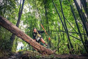 BIB: 1511
                            <button type="button" onclick="openModal(15934879)" class="btn btn-primary btn-sm float-right btn-popup" data-toggle="modal" data-target=".modal-high-quality">
                        <i class="fas fa-shopping-cart"></i> Add to Cart
                    </button>
                                            <button type="button" onclick="isThisMe(15934879, true)" class="btn btn-success btn-sm float-right btn-popup btn-isme hidden" data-toggle="tooltip" data-placement="bottom" title="นี่คือรูปของคุณใช่ไหม คลิกที่นี่เพื่อเอาเข้าอัลบั้ม">
                        <i class="fas fa-plus"></i> Add to album
                    </button>
                    <button type="button" onclick="isThisMe(15934879, false)" class="btn btn-warning btn-sm float-right btn-popup btn-isnotme hidden">
                        <i class="fas fa-ban"></i> Remove from album
                    </button>