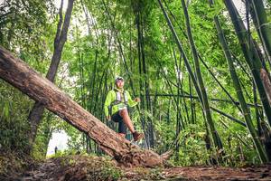 BIB: 1763
                            <button type="button" onclick="openModal(15932489)" class="btn btn-primary btn-sm float-right btn-popup" data-toggle="modal" data-target=".modal-high-quality">
                        <i class="fas fa-shopping-cart"></i> Add to Cart
                    </button>
                                            <button type="button" onclick="isThisMe(15932489, true)" class="btn btn-success btn-sm float-right btn-popup btn-isme hidden" data-toggle="tooltip" data-placement="bottom" title="นี่คือรูปของคุณใช่ไหม คลิกที่นี่เพื่อเอาเข้าอัลบั้ม">
                        <i class="fas fa-plus"></i> Add to album
                    </button>
                    <button type="button" onclick="isThisMe(15932489, false)" class="btn btn-warning btn-sm float-right btn-popup btn-isnotme hidden">
                        <i class="fas fa-ban"></i> Remove from album
                    </button>