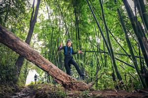 BIB: 
                            <button type="button" onclick="openModal(15932751)" class="btn btn-primary btn-sm float-right btn-popup" data-toggle="modal" data-target=".modal-high-quality">
                        <i class="fas fa-shopping-cart"></i> Add to Cart
                    </button>
                                            <button type="button" onclick="isThisMe(15932751, true)" class="btn btn-success btn-sm float-right btn-popup btn-isme hidden" data-toggle="tooltip" data-placement="bottom" title="นี่คือรูปของคุณใช่ไหม คลิกที่นี่เพื่อเอาเข้าอัลบั้ม">
                        <i class="fas fa-plus"></i> Add to album
                    </button>
                    <button type="button" onclick="isThisMe(15932751, false)" class="btn btn-warning btn-sm float-right btn-popup btn-isnotme hidden">
                        <i class="fas fa-ban"></i> Remove from album
                    </button>