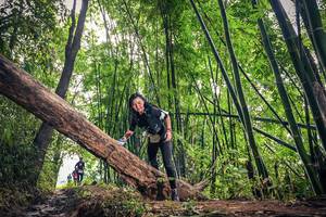 BIB: 
                            <button type="button" onclick="openModal(15933550)" class="btn btn-primary btn-sm float-right btn-popup" data-toggle="modal" data-target=".modal-high-quality">
                        <i class="fas fa-shopping-cart"></i> Add to Cart
                    </button>
                                            <button type="button" onclick="isThisMe(15933550, true)" class="btn btn-success btn-sm float-right btn-popup btn-isme hidden" data-toggle="tooltip" data-placement="bottom" title="นี่คือรูปของคุณใช่ไหม คลิกที่นี่เพื่อเอาเข้าอัลบั้ม">
                        <i class="fas fa-plus"></i> Add to album
                    </button>
                    <button type="button" onclick="isThisMe(15933550, false)" class="btn btn-warning btn-sm float-right btn-popup btn-isnotme hidden">
                        <i class="fas fa-ban"></i> Remove from album
                    </button>