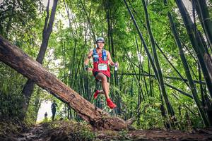 BIB: , 1038
                            <button type="button" onclick="openModal(15932746)" class="btn btn-primary btn-sm float-right btn-popup" data-toggle="modal" data-target=".modal-high-quality">
                        <i class="fas fa-shopping-cart"></i> Add to Cart
                    </button>
                                            <button type="button" onclick="isThisMe(15932746, true)" class="btn btn-success btn-sm float-right btn-popup btn-isme hidden" data-toggle="tooltip" data-placement="bottom" title="นี่คือรูปของคุณใช่ไหม คลิกที่นี่เพื่อเอาเข้าอัลบั้ม">
                        <i class="fas fa-plus"></i> Add to album
                    </button>
                    <button type="button" onclick="isThisMe(15932746, false)" class="btn btn-warning btn-sm float-right btn-popup btn-isnotme hidden">
                        <i class="fas fa-ban"></i> Remove from album
                    </button>