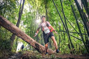 BIB: , 1336
                            <button type="button" onclick="openModal(15934746)" class="btn btn-primary btn-sm float-right btn-popup" data-toggle="modal" data-target=".modal-high-quality">
                        <i class="fas fa-shopping-cart"></i> Add to Cart
                    </button>
                                            <button type="button" onclick="isThisMe(15934746, true)" class="btn btn-success btn-sm float-right btn-popup btn-isme hidden" data-toggle="tooltip" data-placement="bottom" title="นี่คือรูปของคุณใช่ไหม คลิกที่นี่เพื่อเอาเข้าอัลบั้ม">
                        <i class="fas fa-plus"></i> Add to album
                    </button>
                    <button type="button" onclick="isThisMe(15934746, false)" class="btn btn-warning btn-sm float-right btn-popup btn-isnotme hidden">
                        <i class="fas fa-ban"></i> Remove from album
                    </button>