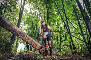 BIB: 
                            <button type="button" onclick="openModal(15934500)" class="btn btn-primary btn-sm float-right btn-popup" data-toggle="modal" data-target=".modal-high-quality">
                        <i class="fas fa-shopping-cart"></i> Add to Cart
                    </button>
                                            <button type="button" onclick="isThisMe(15934500, true)" class="btn btn-success btn-sm float-right btn-popup btn-isme hidden" data-toggle="tooltip" data-placement="bottom" title="นี่คือรูปของคุณใช่ไหม คลิกที่นี่เพื่อเอาเข้าอัลบั้ม">
                        <i class="fas fa-plus"></i> Add to album
                    </button>
                    <button type="button" onclick="isThisMe(15934500, false)" class="btn btn-warning btn-sm float-right btn-popup btn-isnotme hidden">
                        <i class="fas fa-ban"></i> Remove from album
                    </button>