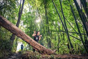 BIB: 670
                            <button type="button" onclick="openModal(15934663)" class="btn btn-primary btn-sm float-right btn-popup" data-toggle="modal" data-target=".modal-high-quality">
                        <i class="fas fa-shopping-cart"></i> Add to Cart
                    </button>
                                            <button type="button" onclick="isThisMe(15934663, true)" class="btn btn-success btn-sm float-right btn-popup btn-isme hidden" data-toggle="tooltip" data-placement="bottom" title="นี่คือรูปของคุณใช่ไหม คลิกที่นี่เพื่อเอาเข้าอัลบั้ม">
                        <i class="fas fa-plus"></i> Add to album
                    </button>
                    <button type="button" onclick="isThisMe(15934663, false)" class="btn btn-warning btn-sm float-right btn-popup btn-isnotme hidden">
                        <i class="fas fa-ban"></i> Remove from album
                    </button>