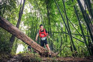 BIB: 1031
                            <button type="button" onclick="openModal(15932877)" class="btn btn-primary btn-sm float-right btn-popup" data-toggle="modal" data-target=".modal-high-quality">
                        <i class="fas fa-shopping-cart"></i> Add to Cart
                    </button>
                                            <button type="button" onclick="isThisMe(15932877, true)" class="btn btn-success btn-sm float-right btn-popup btn-isme hidden" data-toggle="tooltip" data-placement="bottom" title="นี่คือรูปของคุณใช่ไหม คลิกที่นี่เพื่อเอาเข้าอัลบั้ม">
                        <i class="fas fa-plus"></i> Add to album
                    </button>
                    <button type="button" onclick="isThisMe(15932877, false)" class="btn btn-warning btn-sm float-right btn-popup btn-isnotme hidden">
                        <i class="fas fa-ban"></i> Remove from album
                    </button>