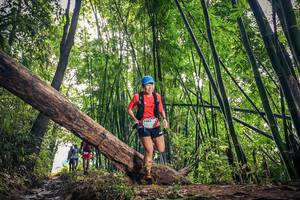 BIB: 1083
                            <button type="button" onclick="openModal(15933404)" class="btn btn-primary btn-sm float-right btn-popup" data-toggle="modal" data-target=".modal-high-quality">
                        <i class="fas fa-shopping-cart"></i> Add to Cart
                    </button>
                                            <button type="button" onclick="isThisMe(15933404, true)" class="btn btn-success btn-sm float-right btn-popup btn-isme hidden" data-toggle="tooltip" data-placement="bottom" title="นี่คือรูปของคุณใช่ไหม คลิกที่นี่เพื่อเอาเข้าอัลบั้ม">
                        <i class="fas fa-plus"></i> Add to album
                    </button>
                    <button type="button" onclick="isThisMe(15933404, false)" class="btn btn-warning btn-sm float-right btn-popup btn-isnotme hidden">
                        <i class="fas fa-ban"></i> Remove from album
                    </button>