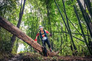 BIB: 1123
                            <button type="button" onclick="openModal(15934561)" class="btn btn-primary btn-sm float-right btn-popup" data-toggle="modal" data-target=".modal-high-quality">
                        <i class="fas fa-shopping-cart"></i> Add to Cart
                    </button>
                                            <button type="button" onclick="isThisMe(15934561, true)" class="btn btn-success btn-sm float-right btn-popup btn-isme hidden" data-toggle="tooltip" data-placement="bottom" title="นี่คือรูปของคุณใช่ไหม คลิกที่นี่เพื่อเอาเข้าอัลบั้ม">
                        <i class="fas fa-plus"></i> Add to album
                    </button>
                    <button type="button" onclick="isThisMe(15934561, false)" class="btn btn-warning btn-sm float-right btn-popup btn-isnotme hidden">
                        <i class="fas fa-ban"></i> Remove from album
                    </button>