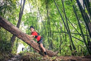 BIB: 
                            <button type="button" onclick="openModal(15935017)" class="btn btn-primary btn-sm float-right btn-popup" data-toggle="modal" data-target=".modal-high-quality">
                        <i class="fas fa-shopping-cart"></i> Add to Cart
                    </button>
                                            <button type="button" onclick="isThisMe(15935017, true)" class="btn btn-success btn-sm float-right btn-popup btn-isme hidden" data-toggle="tooltip" data-placement="bottom" title="นี่คือรูปของคุณใช่ไหม คลิกที่นี่เพื่อเอาเข้าอัลบั้ม">
                        <i class="fas fa-plus"></i> Add to album
                    </button>
                    <button type="button" onclick="isThisMe(15935017, false)" class="btn btn-warning btn-sm float-right btn-popup btn-isnotme hidden">
                        <i class="fas fa-ban"></i> Remove from album
                    </button>