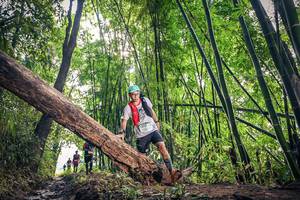 BIB: , 1318
                            <button type="button" onclick="openModal(15934906)" class="btn btn-primary btn-sm float-right btn-popup" data-toggle="modal" data-target=".modal-high-quality">
                        <i class="fas fa-shopping-cart"></i> Add to Cart
                    </button>
                                            <button type="button" onclick="isThisMe(15934906, true)" class="btn btn-success btn-sm float-right btn-popup btn-isme hidden" data-toggle="tooltip" data-placement="bottom" title="นี่คือรูปของคุณใช่ไหม คลิกที่นี่เพื่อเอาเข้าอัลบั้ม">
                        <i class="fas fa-plus"></i> Add to album
                    </button>
                    <button type="button" onclick="isThisMe(15934906, false)" class="btn btn-warning btn-sm float-right btn-popup btn-isnotme hidden">
                        <i class="fas fa-ban"></i> Remove from album
                    </button>