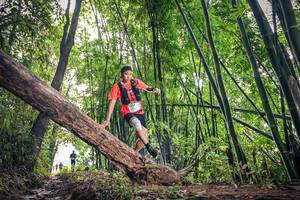 BIB: 1633
                            <button type="button" onclick="openModal(15932799)" class="btn btn-primary btn-sm float-right btn-popup" data-toggle="modal" data-target=".modal-high-quality">
                        <i class="fas fa-shopping-cart"></i> Add to Cart
                    </button>
                                            <button type="button" onclick="isThisMe(15932799, true)" class="btn btn-success btn-sm float-right btn-popup btn-isme hidden" data-toggle="tooltip" data-placement="bottom" title="นี่คือรูปของคุณใช่ไหม คลิกที่นี่เพื่อเอาเข้าอัลบั้ม">
                        <i class="fas fa-plus"></i> Add to album
                    </button>
                    <button type="button" onclick="isThisMe(15932799, false)" class="btn btn-warning btn-sm float-right btn-popup btn-isnotme hidden">
                        <i class="fas fa-ban"></i> Remove from album
                    </button>