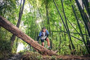 BIB: 1717
                            <button type="button" onclick="openModal(15934628)" class="btn btn-primary btn-sm float-right btn-popup" data-toggle="modal" data-target=".modal-high-quality">
                        <i class="fas fa-shopping-cart"></i> Add to Cart
                    </button>
                                            <button type="button" onclick="isThisMe(15934628, true)" class="btn btn-success btn-sm float-right btn-popup btn-isme hidden" data-toggle="tooltip" data-placement="bottom" title="นี่คือรูปของคุณใช่ไหม คลิกที่นี่เพื่อเอาเข้าอัลบั้ม">
                        <i class="fas fa-plus"></i> Add to album
                    </button>
                    <button type="button" onclick="isThisMe(15934628, false)" class="btn btn-warning btn-sm float-right btn-popup btn-isnotme hidden">
                        <i class="fas fa-ban"></i> Remove from album
                    </button>