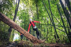 BIB: 
                            <button type="button" onclick="openModal(15934862)" class="btn btn-primary btn-sm float-right btn-popup" data-toggle="modal" data-target=".modal-high-quality">
                        <i class="fas fa-shopping-cart"></i> Add to Cart
                    </button>
                                            <button type="button" onclick="isThisMe(15934862, true)" class="btn btn-success btn-sm float-right btn-popup btn-isme hidden" data-toggle="tooltip" data-placement="bottom" title="นี่คือรูปของคุณใช่ไหม คลิกที่นี่เพื่อเอาเข้าอัลบั้ม">
                        <i class="fas fa-plus"></i> Add to album
                    </button>
                    <button type="button" onclick="isThisMe(15934862, false)" class="btn btn-warning btn-sm float-right btn-popup btn-isnotme hidden">
                        <i class="fas fa-ban"></i> Remove from album
                    </button>