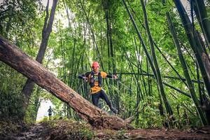 BIB: 
                            <button type="button" onclick="openModal(15933098)" class="btn btn-primary btn-sm float-right btn-popup" data-toggle="modal" data-target=".modal-high-quality">
                        <i class="fas fa-shopping-cart"></i> Add to Cart
                    </button>
                                            <button type="button" onclick="isThisMe(15933098, true)" class="btn btn-success btn-sm float-right btn-popup btn-isme hidden" data-toggle="tooltip" data-placement="bottom" title="นี่คือรูปของคุณใช่ไหม คลิกที่นี่เพื่อเอาเข้าอัลบั้ม">
                        <i class="fas fa-plus"></i> Add to album
                    </button>
                    <button type="button" onclick="isThisMe(15933098, false)" class="btn btn-warning btn-sm float-right btn-popup btn-isnotme hidden">
                        <i class="fas fa-ban"></i> Remove from album
                    </button>