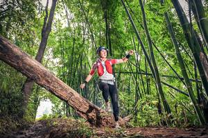 BIB: 
                            <button type="button" onclick="openModal(15932504)" class="btn btn-primary btn-sm float-right btn-popup" data-toggle="modal" data-target=".modal-high-quality">
                        <i class="fas fa-shopping-cart"></i> Add to Cart
                    </button>
                                            <button type="button" onclick="isThisMe(15932504, true)" class="btn btn-success btn-sm float-right btn-popup btn-isme hidden" data-toggle="tooltip" data-placement="bottom" title="นี่คือรูปของคุณใช่ไหม คลิกที่นี่เพื่อเอาเข้าอัลบั้ม">
                        <i class="fas fa-plus"></i> Add to album
                    </button>
                    <button type="button" onclick="isThisMe(15932504, false)" class="btn btn-warning btn-sm float-right btn-popup btn-isnotme hidden">
                        <i class="fas fa-ban"></i> Remove from album
                    </button>