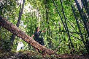 BIB: 
                            <button type="button" onclick="openModal(15934447)" class="btn btn-primary btn-sm float-right btn-popup" data-toggle="modal" data-target=".modal-high-quality">
                        <i class="fas fa-shopping-cart"></i> Add to Cart
                    </button>
                                            <button type="button" onclick="isThisMe(15934447, true)" class="btn btn-success btn-sm float-right btn-popup btn-isme hidden" data-toggle="tooltip" data-placement="bottom" title="นี่คือรูปของคุณใช่ไหม คลิกที่นี่เพื่อเอาเข้าอัลบั้ม">
                        <i class="fas fa-plus"></i> Add to album
                    </button>
                    <button type="button" onclick="isThisMe(15934447, false)" class="btn btn-warning btn-sm float-right btn-popup btn-isnotme hidden">
                        <i class="fas fa-ban"></i> Remove from album
                    </button>