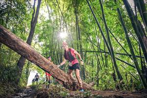 BIB: , 165
                            <button type="button" onclick="openModal(15934729)" class="btn btn-primary btn-sm float-right btn-popup" data-toggle="modal" data-target=".modal-high-quality">
                        <i class="fas fa-shopping-cart"></i> Add to Cart
                    </button>
                                            <button type="button" onclick="isThisMe(15934729, true)" class="btn btn-success btn-sm float-right btn-popup btn-isme hidden" data-toggle="tooltip" data-placement="bottom" title="นี่คือรูปของคุณใช่ไหม คลิกที่นี่เพื่อเอาเข้าอัลบั้ม">
                        <i class="fas fa-plus"></i> Add to album
                    </button>
                    <button type="button" onclick="isThisMe(15934729, false)" class="btn btn-warning btn-sm float-right btn-popup btn-isnotme hidden">
                        <i class="fas fa-ban"></i> Remove from album
                    </button>