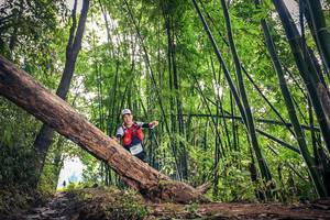 BIB: 1690
                            <button type="button" onclick="openModal(15933538)" class="btn btn-primary btn-sm float-right btn-popup" data-toggle="modal" data-target=".modal-high-quality">
                        <i class="fas fa-shopping-cart"></i> Add to Cart
                    </button>
                                            <button type="button" onclick="isThisMe(15933538, true)" class="btn btn-success btn-sm float-right btn-popup btn-isme hidden" data-toggle="tooltip" data-placement="bottom" title="นี่คือรูปของคุณใช่ไหม คลิกที่นี่เพื่อเอาเข้าอัลบั้ม">
                        <i class="fas fa-plus"></i> Add to album
                    </button>
                    <button type="button" onclick="isThisMe(15933538, false)" class="btn btn-warning btn-sm float-right btn-popup btn-isnotme hidden">
                        <i class="fas fa-ban"></i> Remove from album
                    </button>