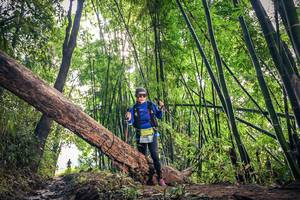 BIB: 1749
                            <button type="button" onclick="openModal(15934950)" class="btn btn-primary btn-sm float-right btn-popup" data-toggle="modal" data-target=".modal-high-quality">
                        <i class="fas fa-shopping-cart"></i> Add to Cart
                    </button>
                                            <button type="button" onclick="isThisMe(15934950, true)" class="btn btn-success btn-sm float-right btn-popup btn-isme hidden" data-toggle="tooltip" data-placement="bottom" title="นี่คือรูปของคุณใช่ไหม คลิกที่นี่เพื่อเอาเข้าอัลบั้ม">
                        <i class="fas fa-plus"></i> Add to album
                    </button>
                    <button type="button" onclick="isThisMe(15934950, false)" class="btn btn-warning btn-sm float-right btn-popup btn-isnotme hidden">
                        <i class="fas fa-ban"></i> Remove from album
                    </button>