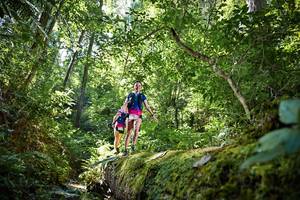 BIB: 5146
                            <button type="button" onclick="openModal(15939169)" class="btn btn-primary btn-sm float-right btn-popup" data-toggle="modal" data-target=".modal-high-quality">
                        <i class="fas fa-shopping-cart"></i> Add to Cart
                    </button>
                                            <button type="button" onclick="isThisMe(15939169, true)" class="btn btn-success btn-sm float-right btn-popup btn-isme hidden" data-toggle="tooltip" data-placement="bottom" title="นี่คือรูปของคุณใช่ไหม คลิกที่นี่เพื่อเอาเข้าอัลบั้ม">
                        <i class="fas fa-plus"></i> Add to album
                    </button>
                    <button type="button" onclick="isThisMe(15939169, false)" class="btn btn-warning btn-sm float-right btn-popup btn-isnotme hidden">
                        <i class="fas fa-ban"></i> Remove from album
                    </button>