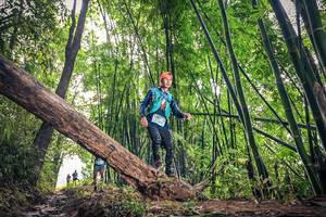 BIB: , 1357, 1606
                            <button type="button" onclick="openModal(15932848)" class="btn btn-primary btn-sm float-right btn-popup" data-toggle="modal" data-target=".modal-high-quality">
                        <i class="fas fa-shopping-cart"></i> Add to Cart
                    </button>
                                            <button type="button" onclick="isThisMe(15932848, true)" class="btn btn-success btn-sm float-right btn-popup btn-isme hidden" data-toggle="tooltip" data-placement="bottom" title="นี่คือรูปของคุณใช่ไหม คลิกที่นี่เพื่อเอาเข้าอัลบั้ม">
                        <i class="fas fa-plus"></i> Add to album
                    </button>
                    <button type="button" onclick="isThisMe(15932848, false)" class="btn btn-warning btn-sm float-right btn-popup btn-isnotme hidden">
                        <i class="fas fa-ban"></i> Remove from album
                    </button>